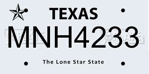 MNH4233 Texas License Plate