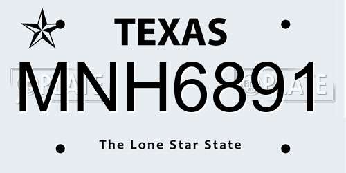 MNH6891 Texas License Plate