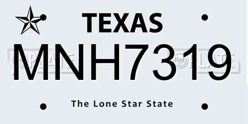 MNH7319 Texas License Plate