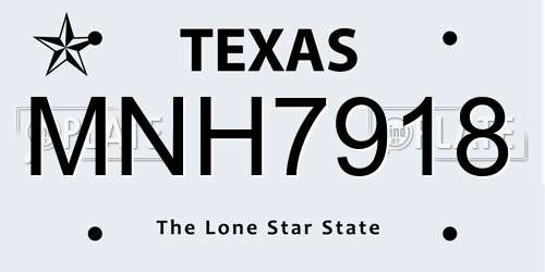 MNH7918 Texas License Plate