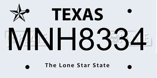 MNH8334 Texas License Plate
