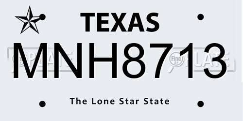 MNH8713 Texas License Plate