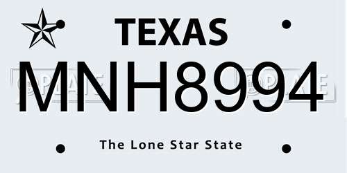 MNH8994 Texas License Plate