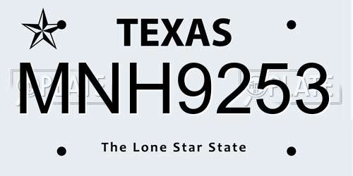 MNH9253 Texas License Plate