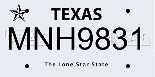 MNH9831 Texas License Plate