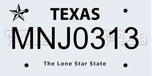 MNJ0313 Texas License Plate