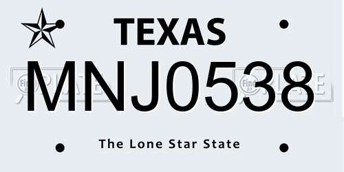 MNJ0538 Texas License Plate