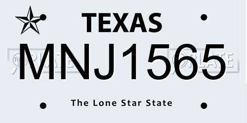 MNJ1565 Texas License Plate