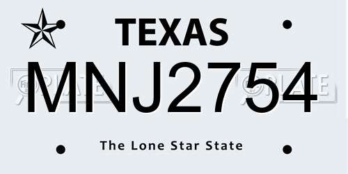 MNJ2754 Texas License Plate