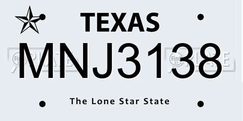 MNJ3138 Texas License Plate