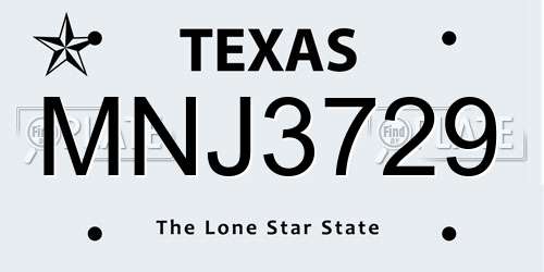 MNJ3729 Texas License Plate