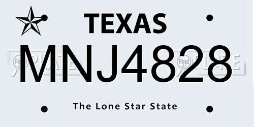 MNJ4828 Texas License Plate