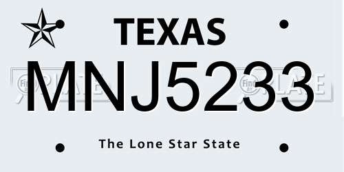 MNJ5233 Texas License Plate