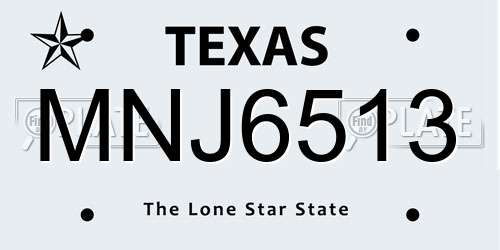 MNJ6513 Texas License Plate