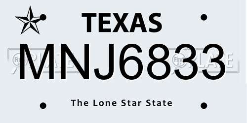MNJ6833 Texas License Plate