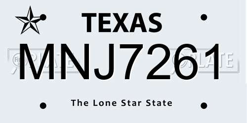 MNJ7261 Texas License Plate
