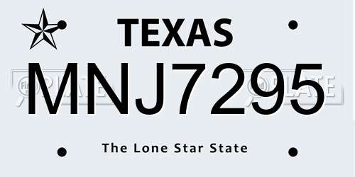 MNJ7295 Texas License Plate