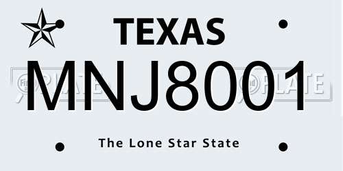 MNJ8001 Texas License Plate