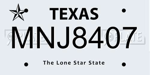 MNJ8407 Texas License Plate