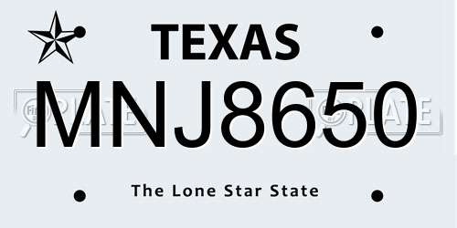 MNJ8650 Texas License Plate