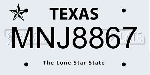 MNJ8867 Texas License Plate