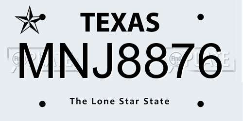 MNJ8876 Texas License Plate