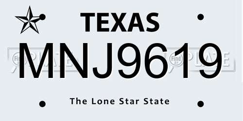 MNJ9619 Texas License Plate