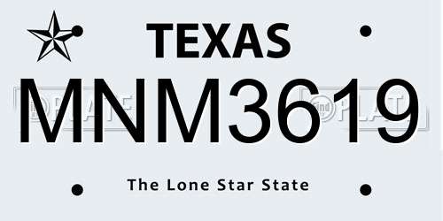 MNM3619 Texas License Plate