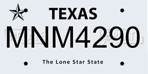 MNM4290 Texas License Plate