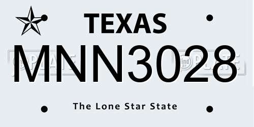 MNN3028 Texas License Plate