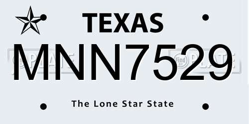 MNN7529 Texas License Plate
