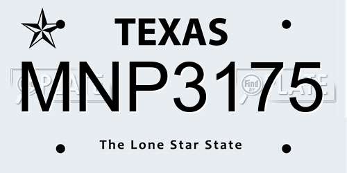 MNP3175 Texas License Plate
