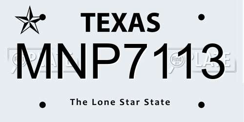 MNP7113 Texas License Plate