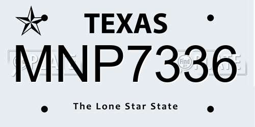 MNP7336 Texas License Plate