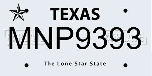 MNP9393 Texas License Plate
