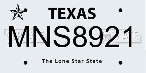 MNS8921 Texas License Plate