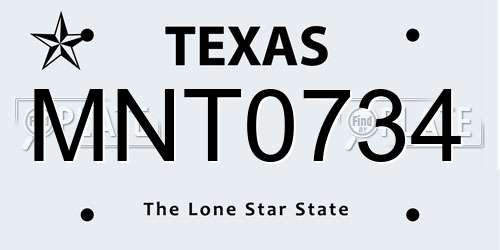 MNT0734 Texas License Plate
