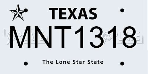 MNT1318 Texas License Plate
