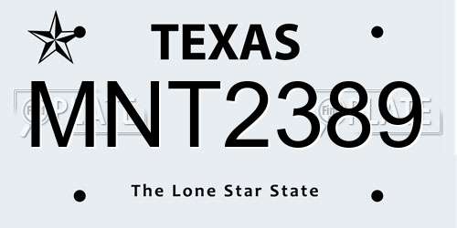 MNT2389 Texas License Plate