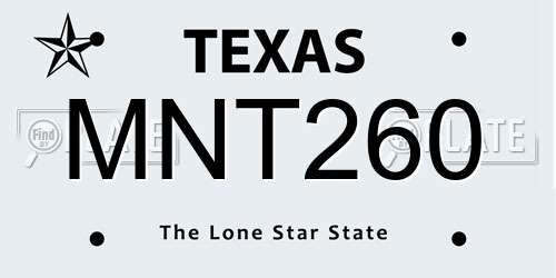 MNT260 Texas License Plate