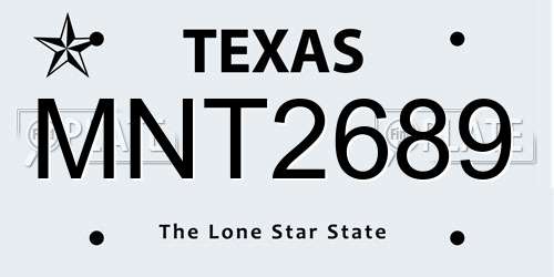 MNT2689 Texas License Plate