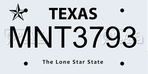MNT3793 Texas License Plate