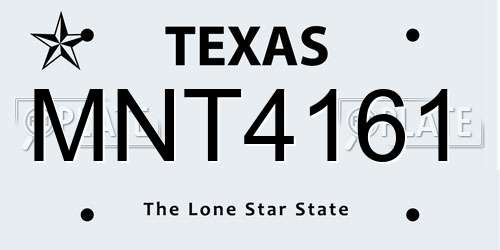 MNT4161 Texas License Plate