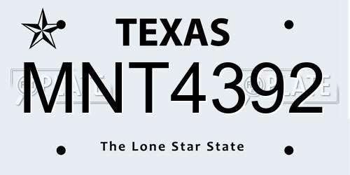 MNT4392 Texas License Plate