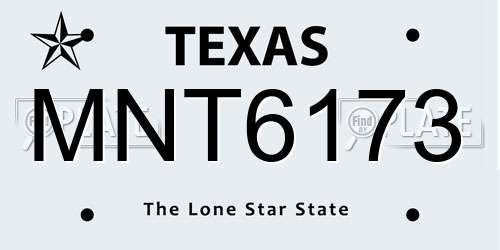 MNT6173 Texas License Plate
