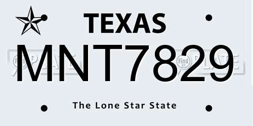 MNT7829 Texas License Plate