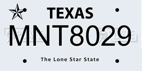 MNT8029 Texas License Plate