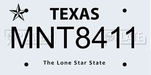 MNT8411 Texas License Plate