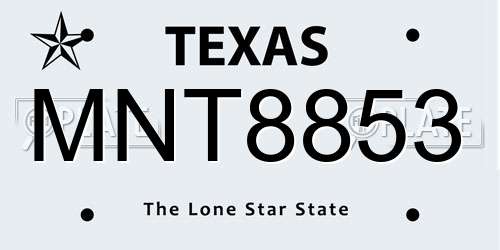 MNT8853 Texas License Plate