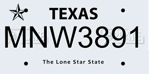 MNW3891 Texas License Plate
